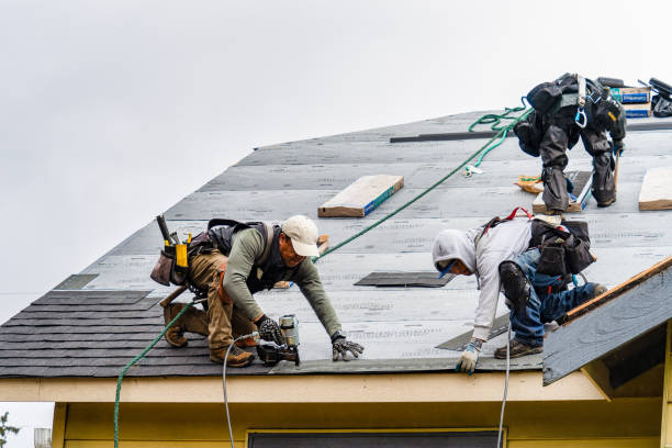 Professional Metal Roofing technician working in Chataignier, LA