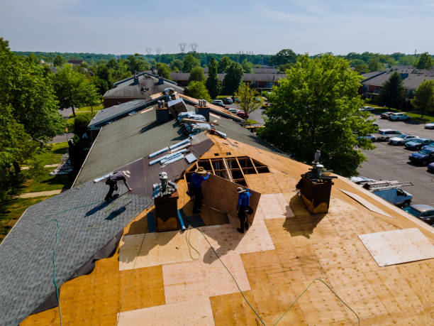 Trusted Roofing service in Chataignier, LA - Brentwood Metal Roofing
